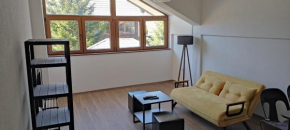 Mickey's Apartments Mavrovo